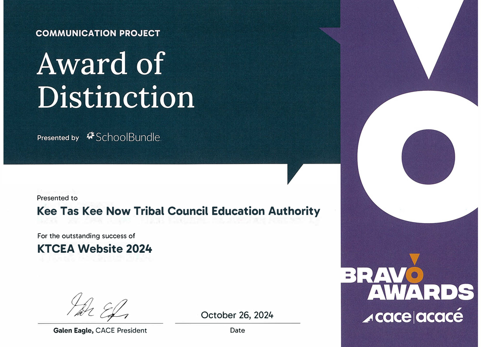 Bravo! Award of Distinction